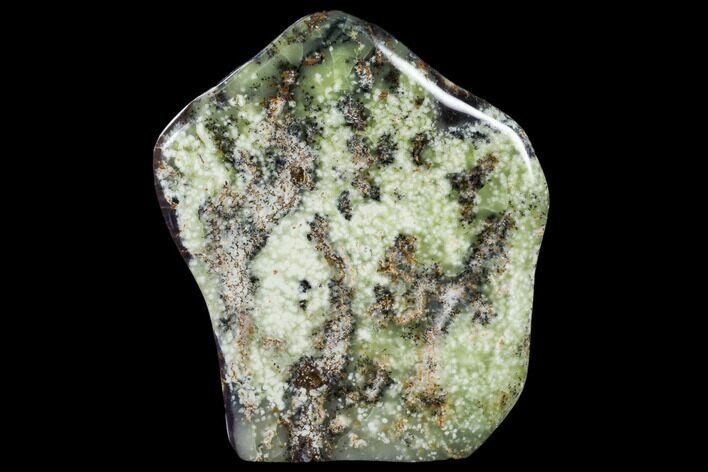 Polished, Free-standing, Green Dendritic Agate - Madagascar #113673